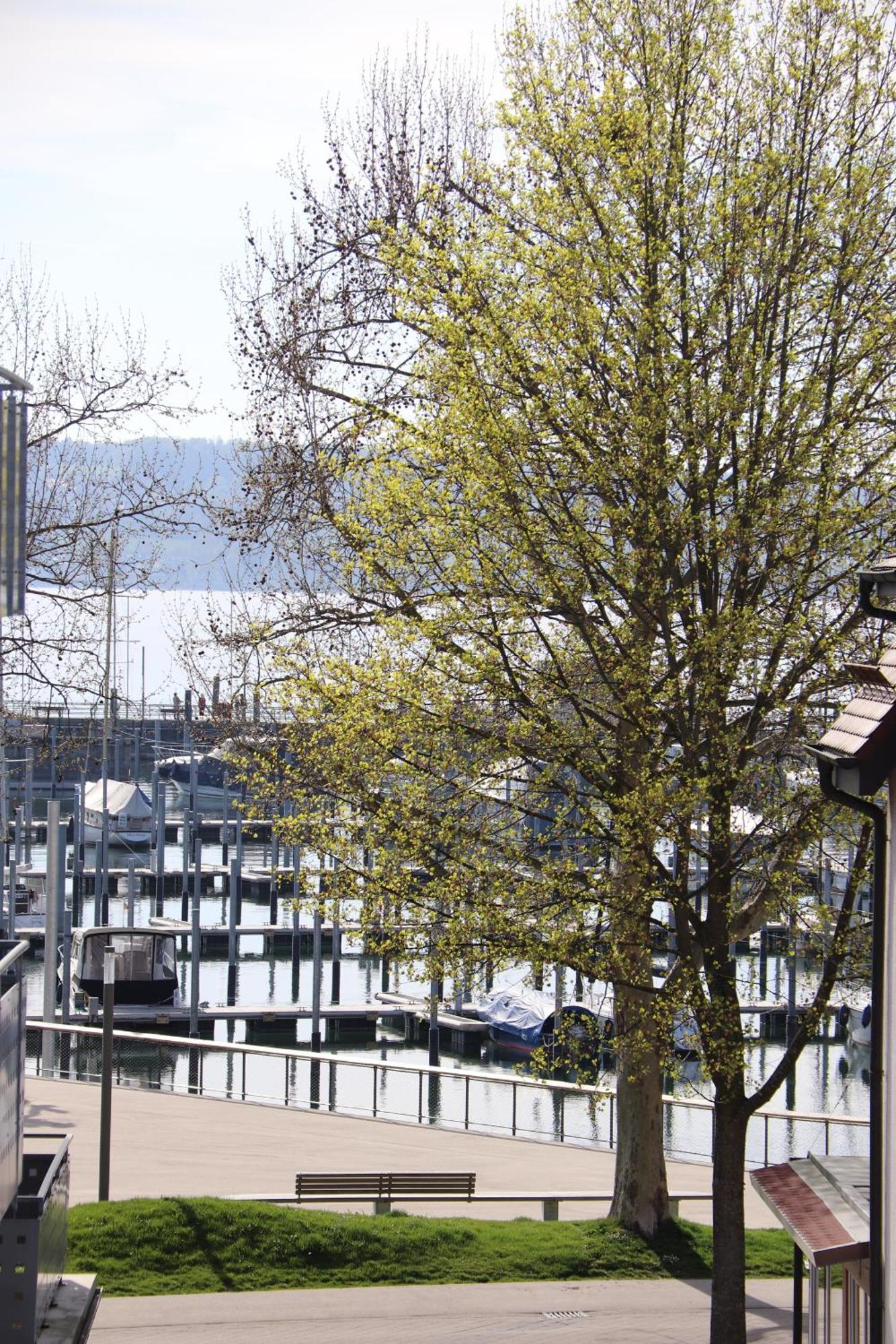 Gaestehaus Maeder Am Hafen Uhldingen-Mühlhofen Rom bilde