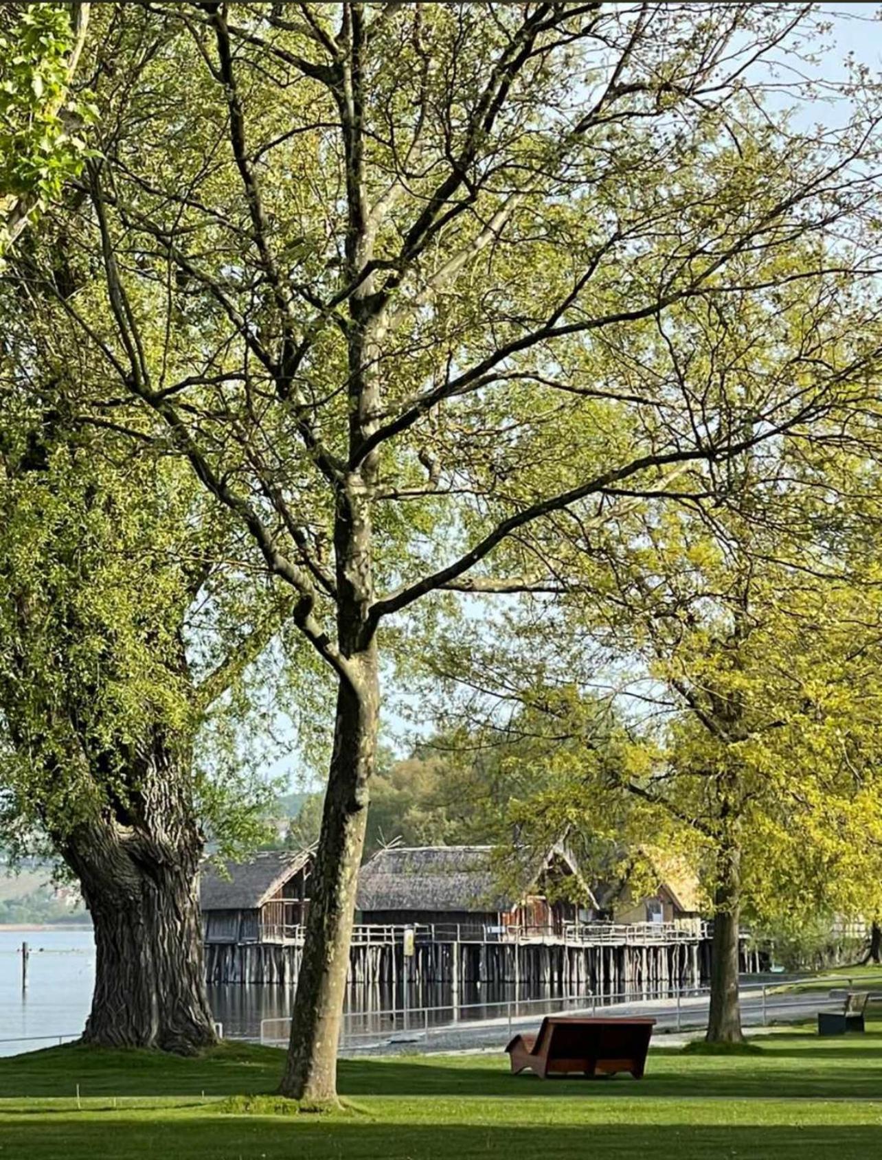 Gaestehaus Maeder Am Hafen Uhldingen-Mühlhofen Eksteriør bilde