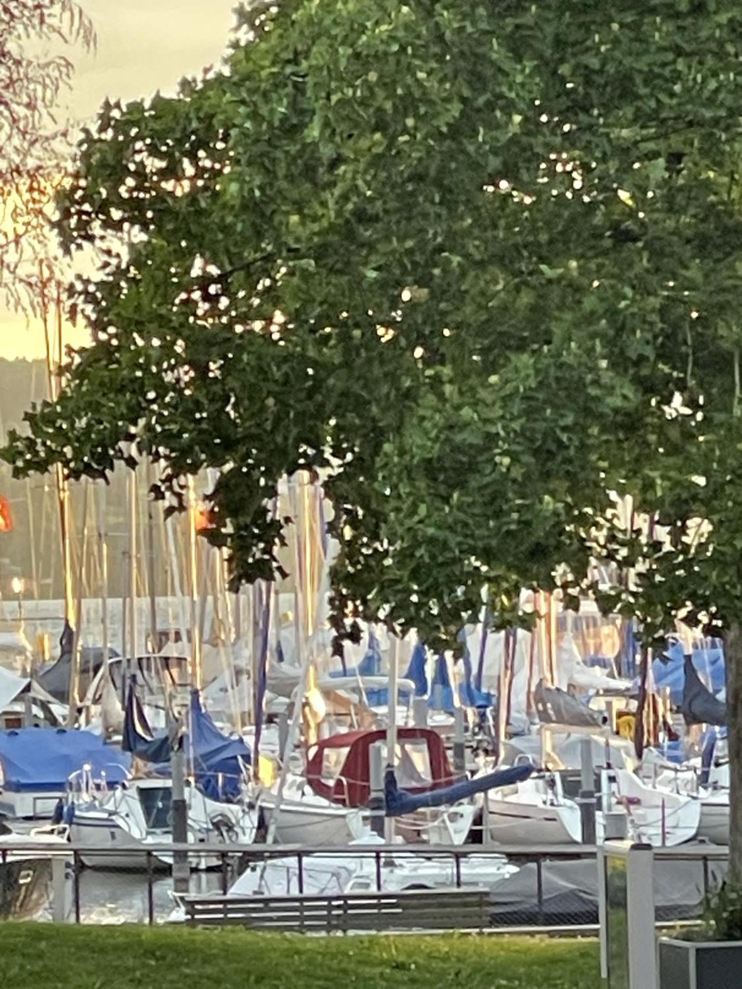 Gaestehaus Maeder Am Hafen Uhldingen-Mühlhofen Eksteriør bilde